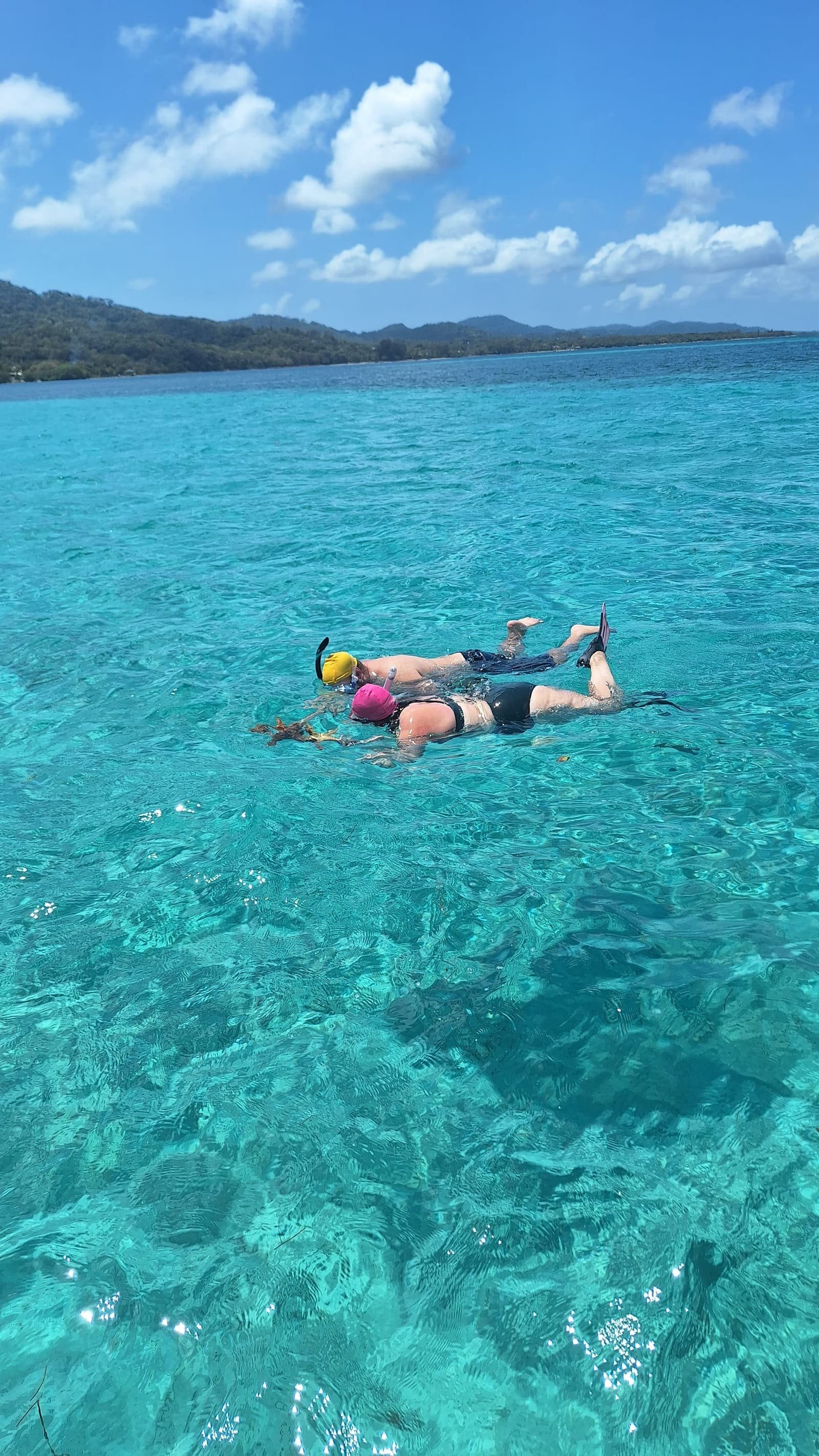 Snorkel by boat — photo 3 of 11