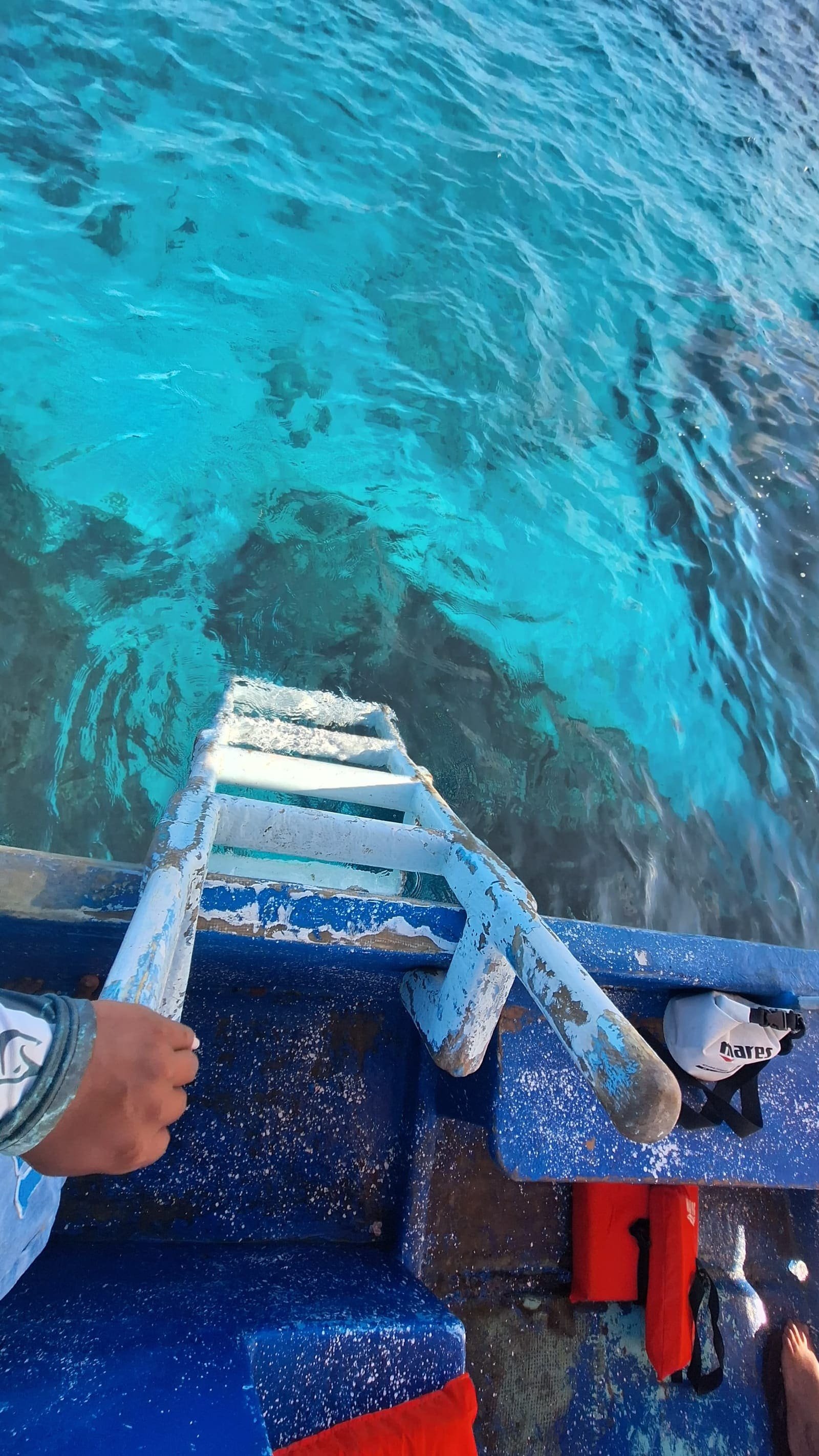 Snorkel by boat — photo 9 of 11