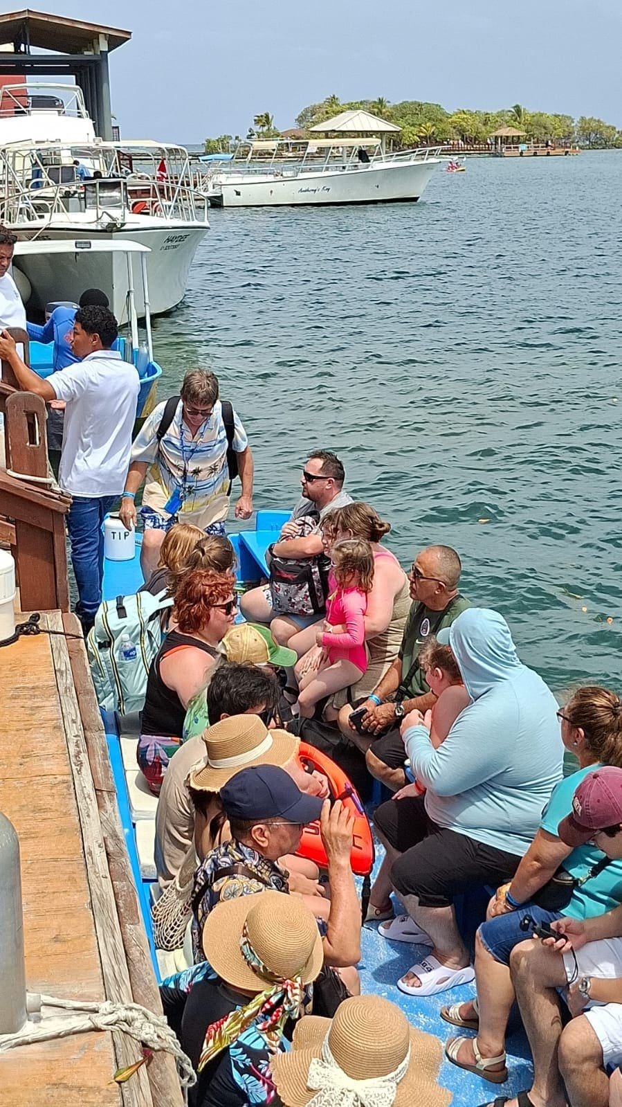Dolphin encounters at Anthony's Key — photo 3 of 8