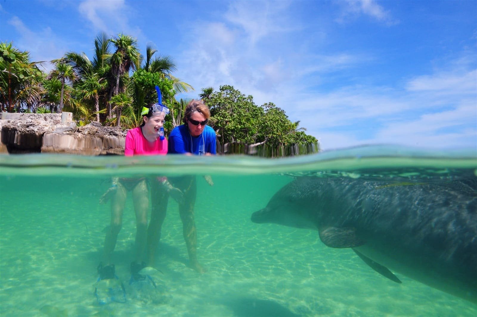 Dolphin encounters at Anthony's Key — photo 7 of 8