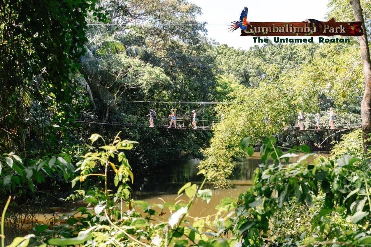 Gumbalimba Park — zipline & wildlife — photo 9 of 12