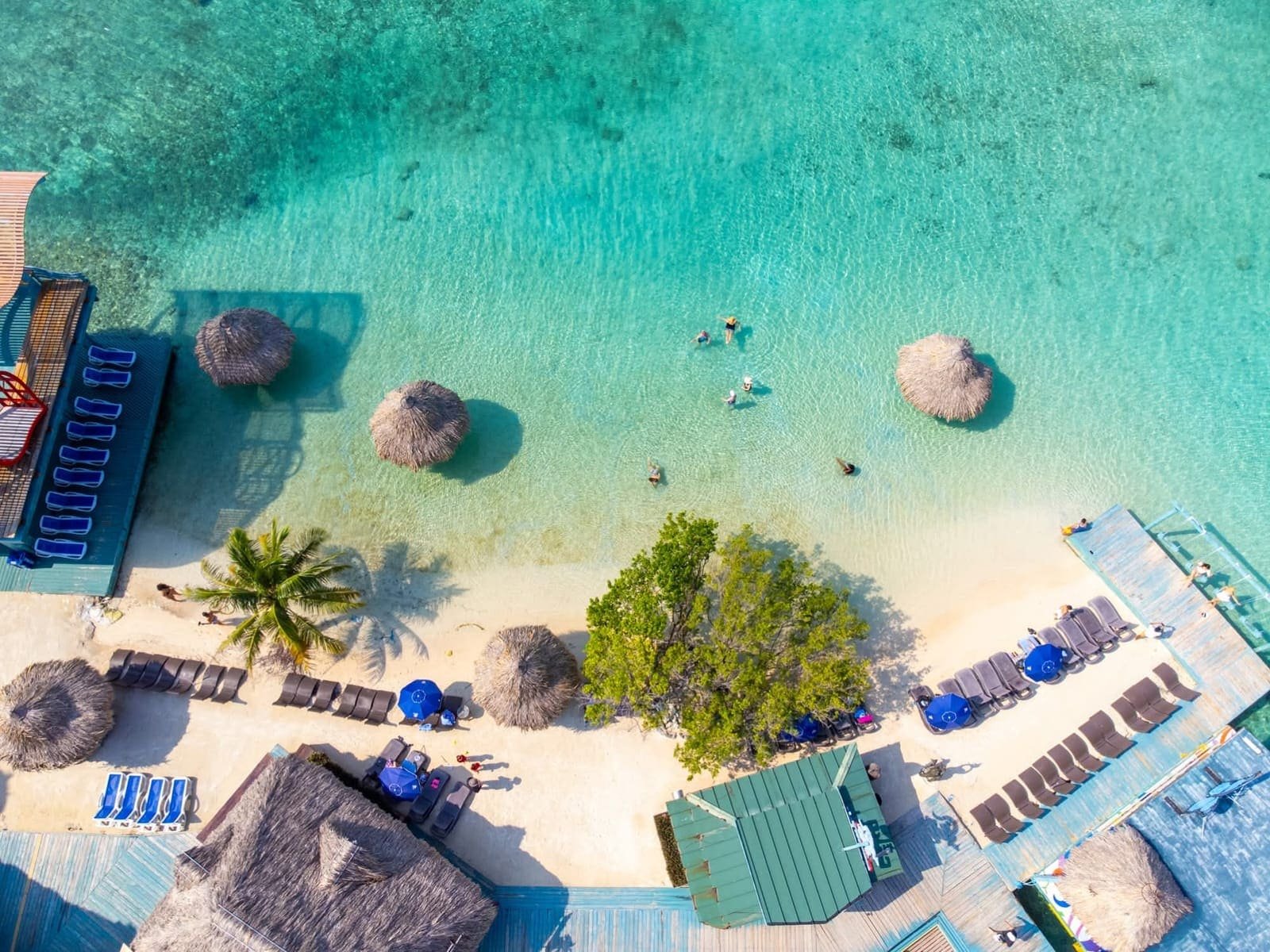Roatán Insider Signature — Little French Key — photo 8 of 12