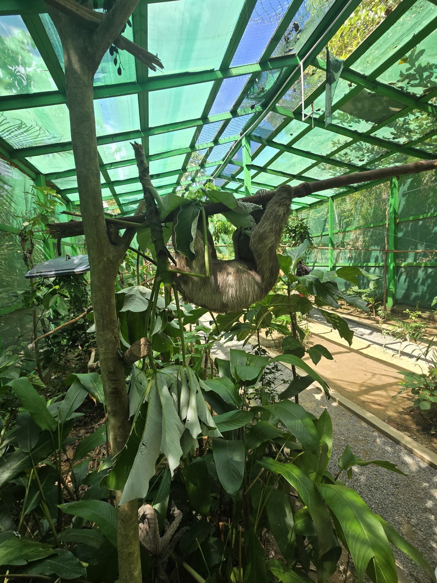 Mayan Jungle — animal park — photo 3 of 10