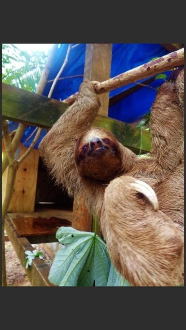 Mayan Jungle — animal park — photo 4 of 10