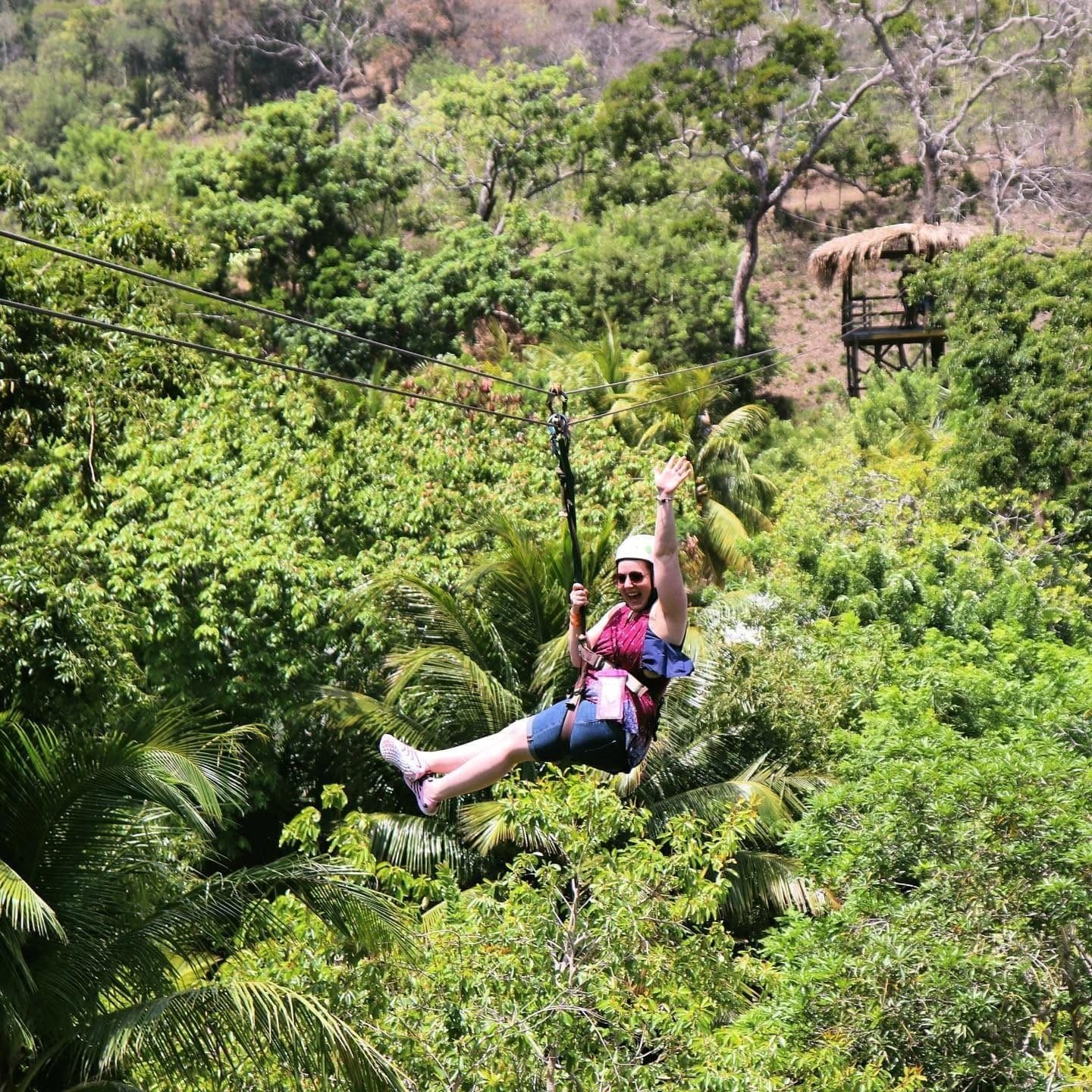 Mayan Jungle — animal park — photo 5 of 10