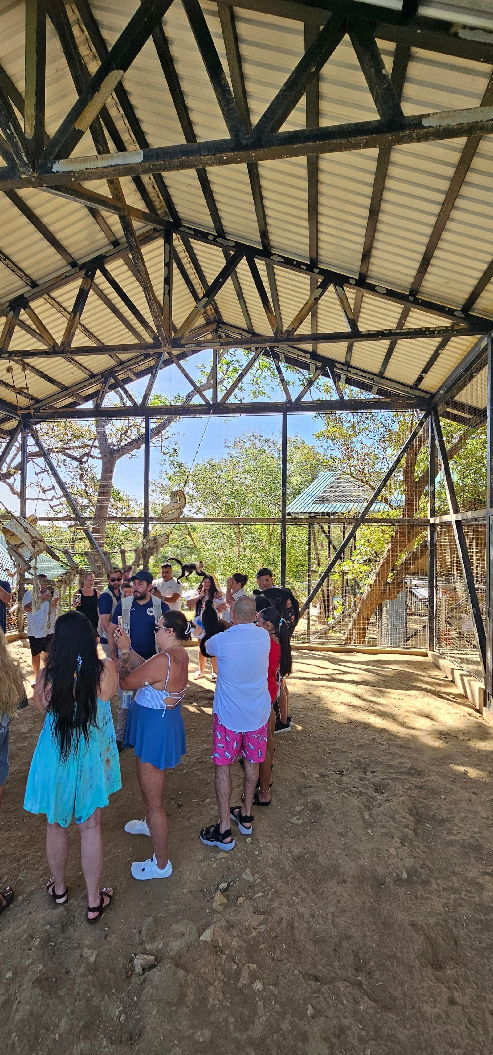 Monkey & Sloth Hangout — photo 4 of 5