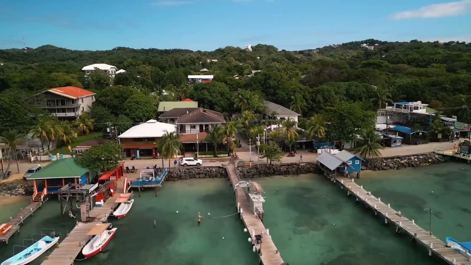 Splash Inn Dive Resort — photo 8 of 9