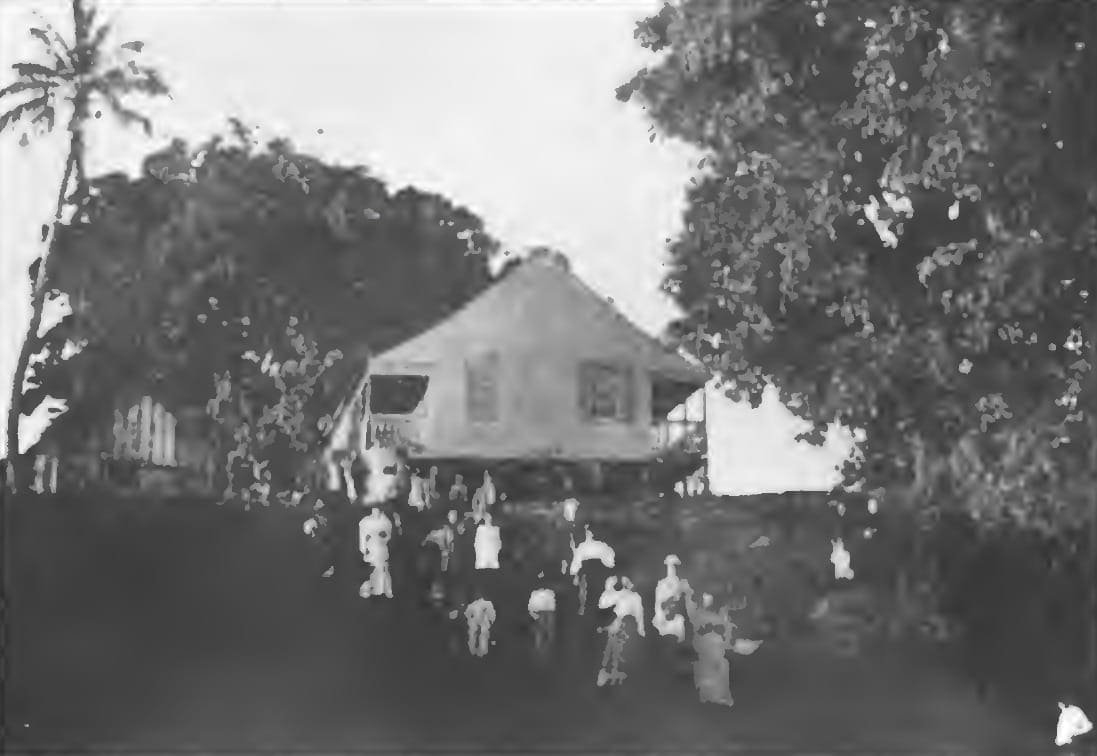 A raised wooden house among mango trees on a hill in Utila, with a group of people standing in front, photographed in 1904