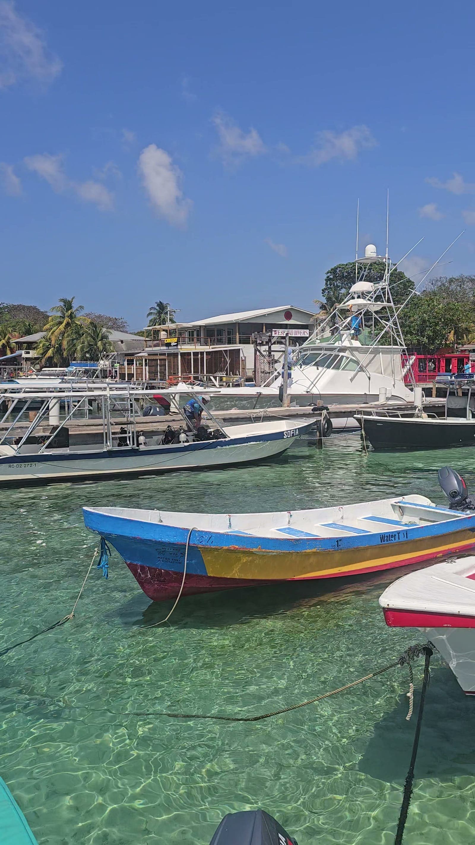 Water taxi — photo 5 of 12