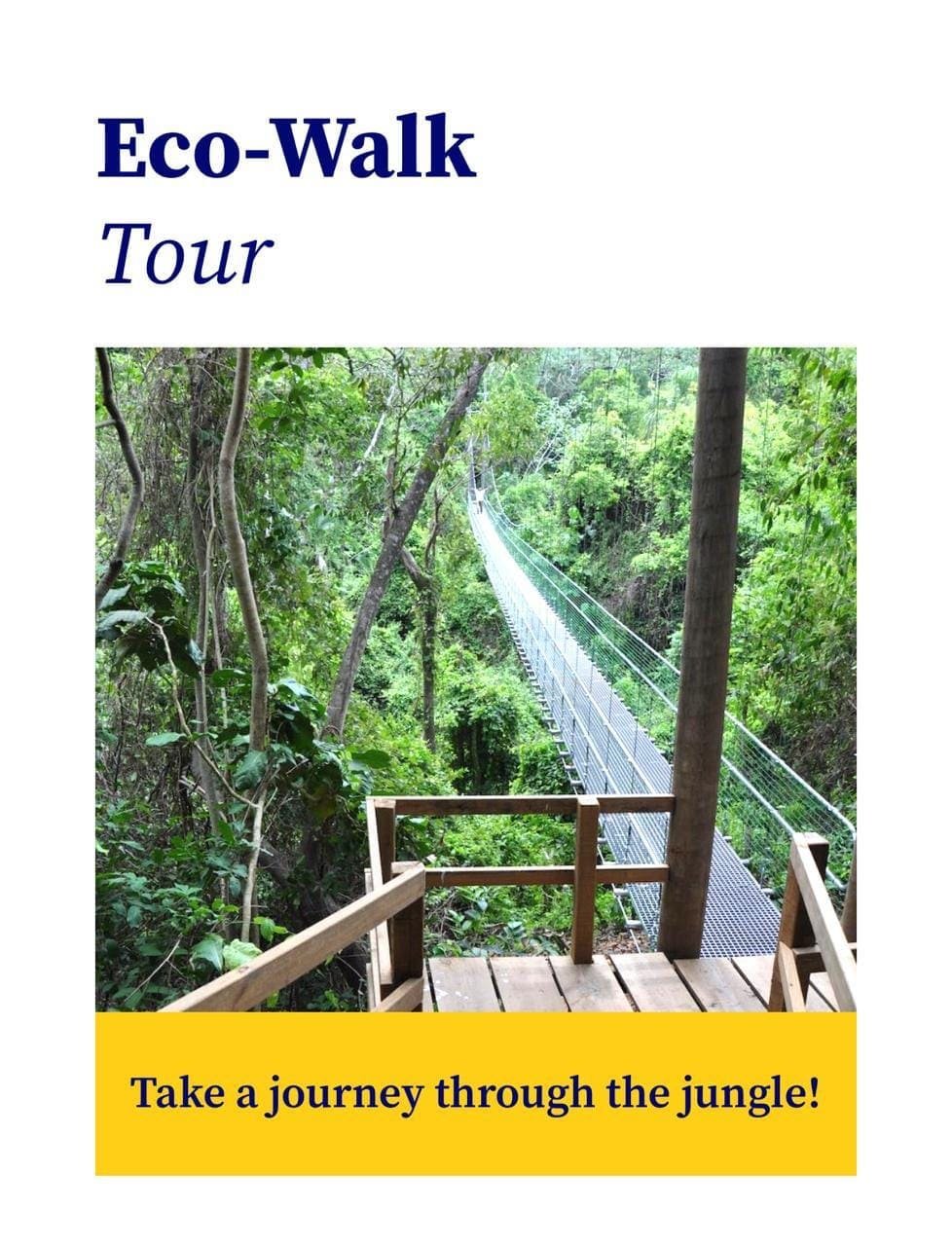 Zuperman canopy & trails — photo 10 of 12