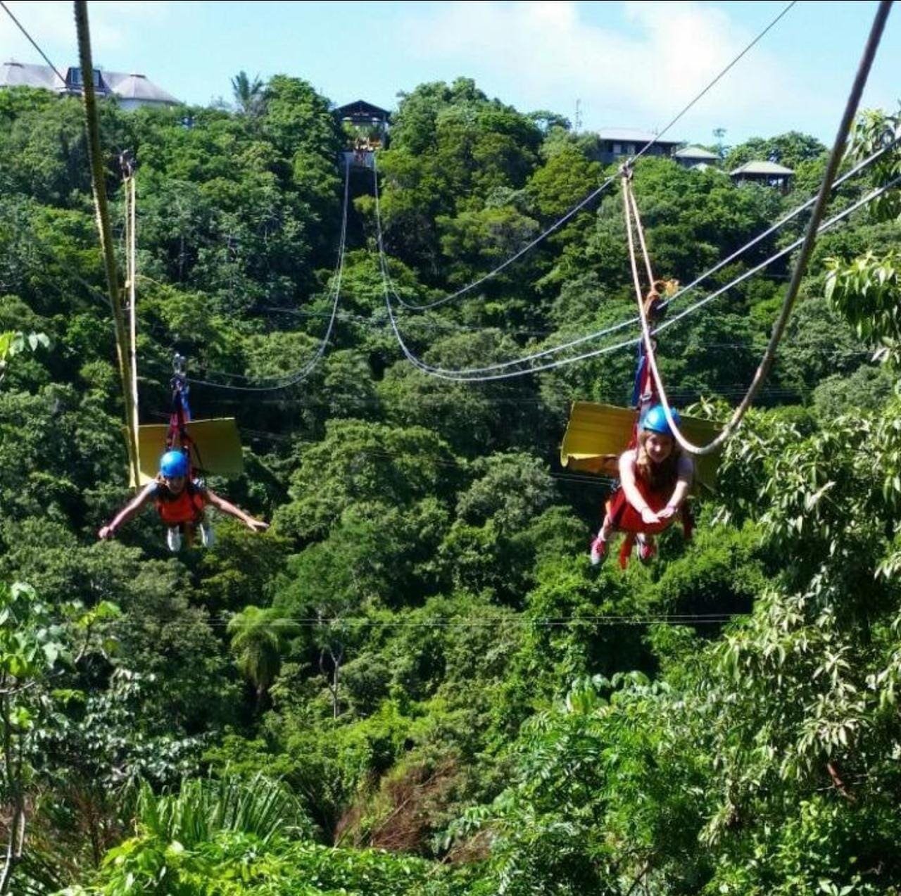 Zuperman canopy & trails — photo 7 of 12